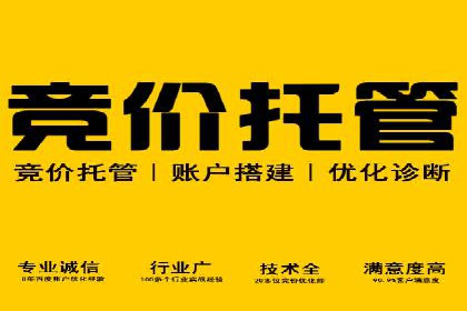 竞价SEM托管策略：助力企业快速成长